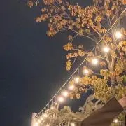 Sの画像