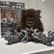 kame.chanの画像