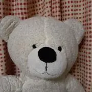 エミーの画像