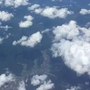ぱぴぱぴの画像