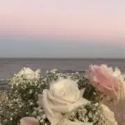 しろみの画像