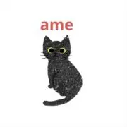 ame⭐️即日発送いたします⭐️の画像