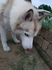 るるん  ～プロフご確認下さい～の画像