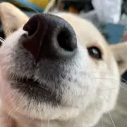 なおぽん