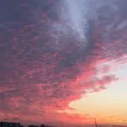 さなさ