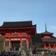 ミスター