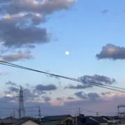 ゆうの画像