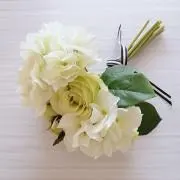 hana❤hanaの画像