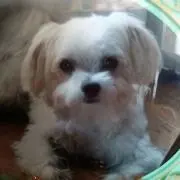 リッキー