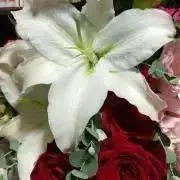 ♡K♡プロフ必読(*¨̮*)の画像