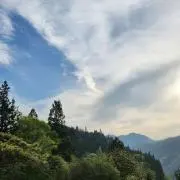 Dream★farmの画像