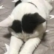 waの画像