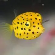 なお