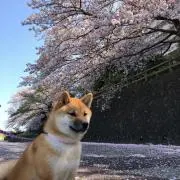 そらいろの画像