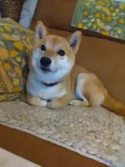 まっちゃん