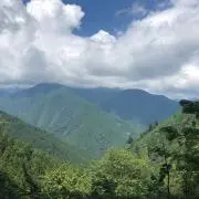 IBO⭐︎断捨離中の画像