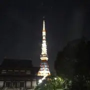 くろねこの画像