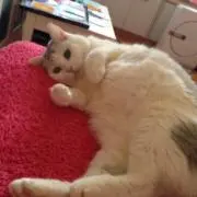 まぁ