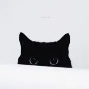 sの画像