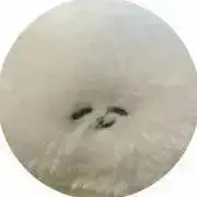 ふわこ[購入プロフ必読]の画像