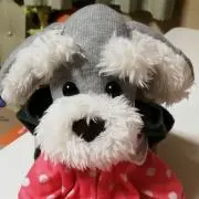 えなの画像