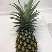 ミルキーママの画像