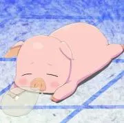 消費ブタ
