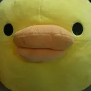 kumamakuの画像