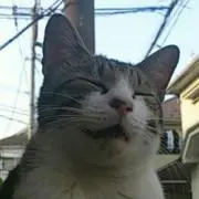 ＫＥＳの画像