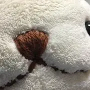 でみゃの画像