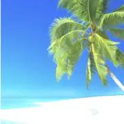 Ｋの画像