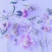 なあの画像