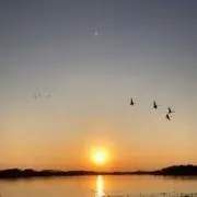 チャビママの画像