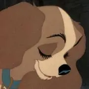りの画像