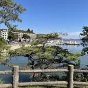 たかの画像
