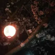 しあわせ侍の画像