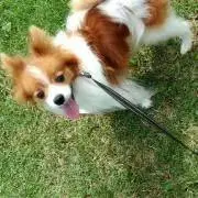 ★プロフ必読★門矢 士の画像