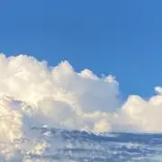 えなの画像