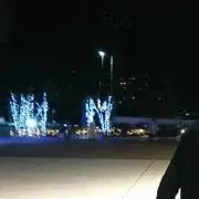 マメの画像