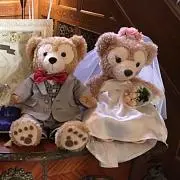 F&R☆の画像