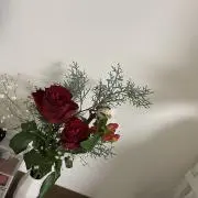 まろの画像