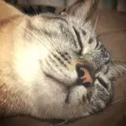 kazuの画像