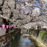 canoramarketの画像