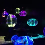 かえの画像