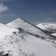 ワンコロの画像