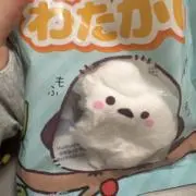ねんの画像