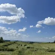 uの画像