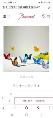 Pomの画像