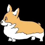 コーギーの画像