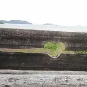 もっちゃむ